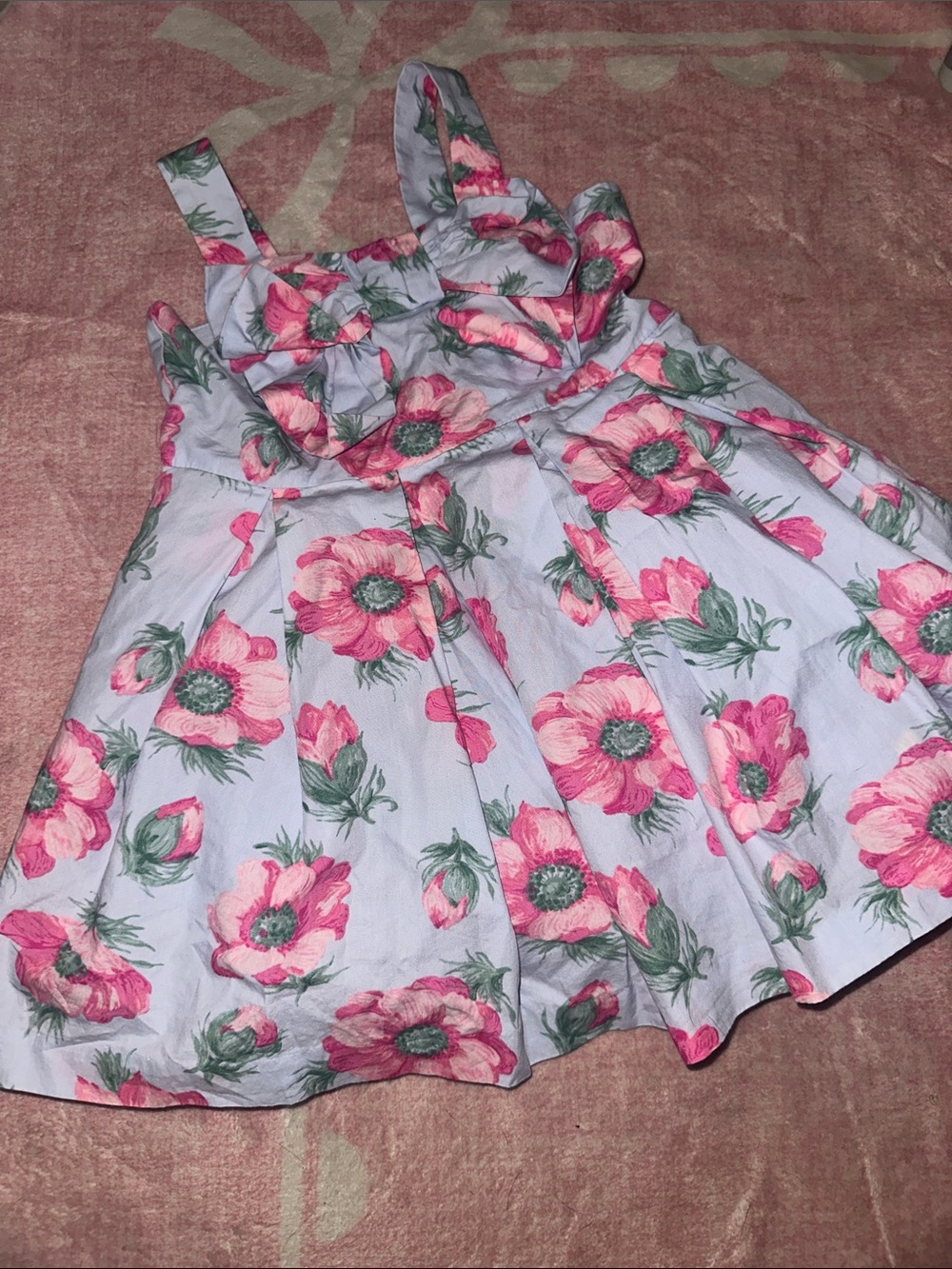 Janie and Jack Pastel Blue Dress with Pink Rose Print